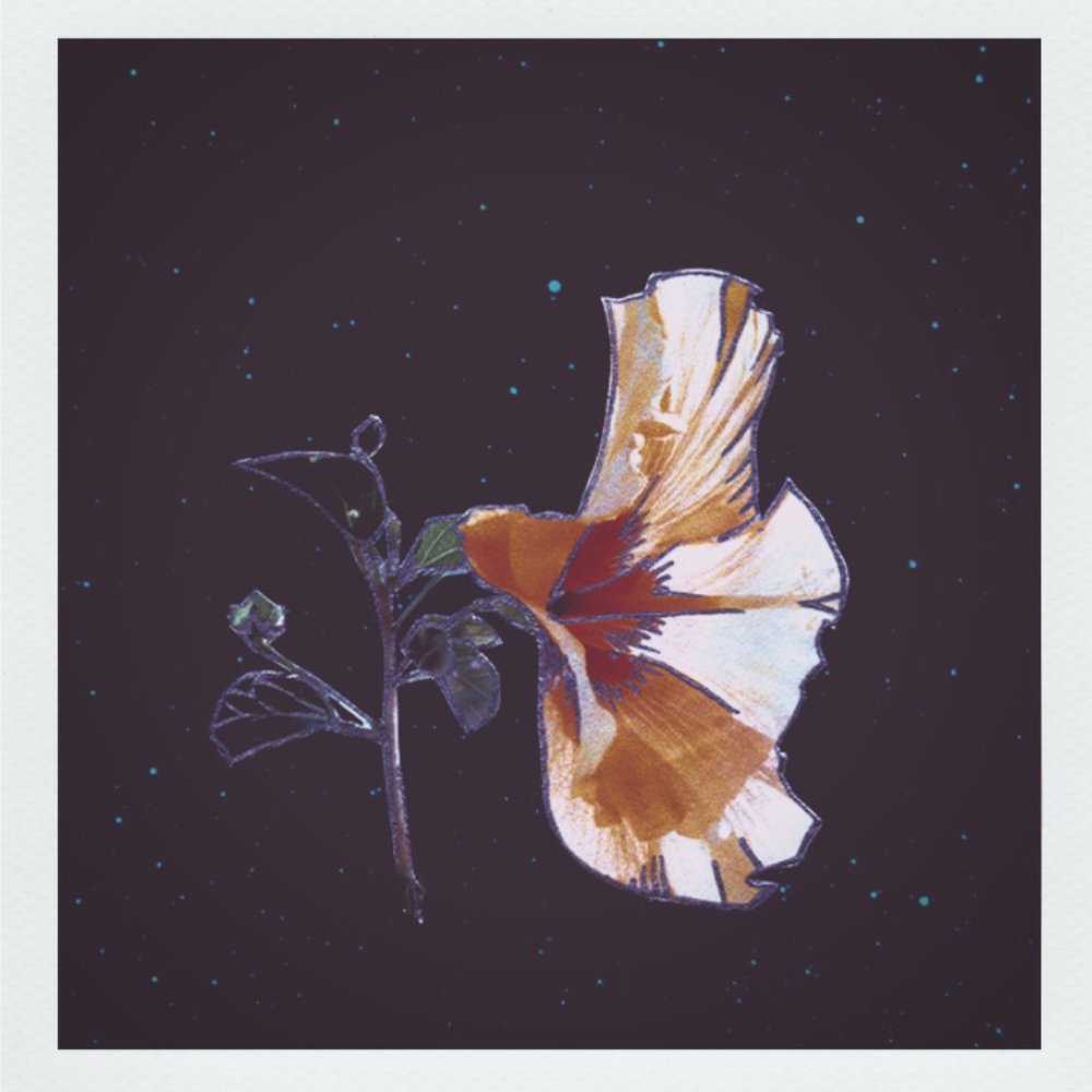 Meet your Posher, Tailor